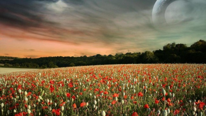 为啥 php 还有这么多人在用啊？